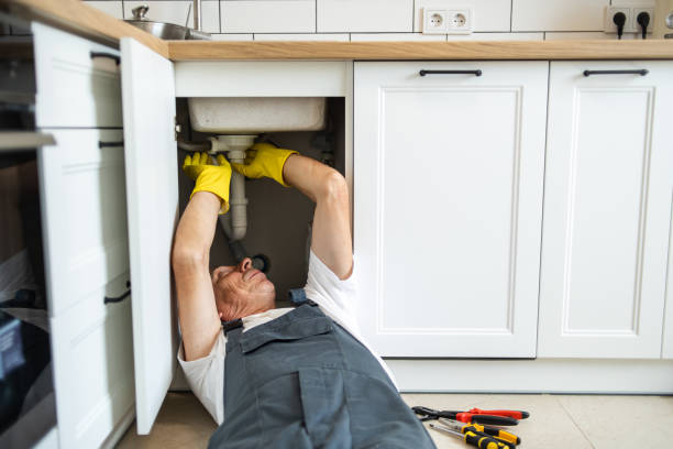 Best Water Leak Repair  in Black Earth, WI