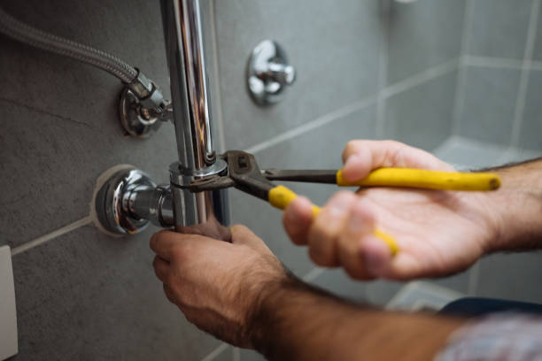 Best Residential Plumbing Services  in Black Earth, WI