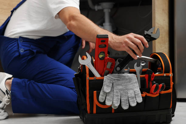 Best Commercial Plumbing Services  in Black Earth, WI