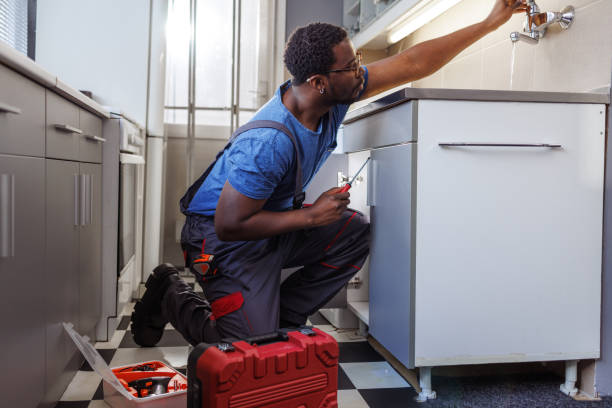 Best Water Leak Repair  in Black Earth, WI